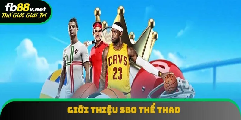 Đôi nét về thương hiệu SBO thể thao Đôi nét về thương hiệu SBO thể thao